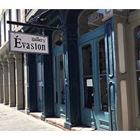 Evasion Gallery